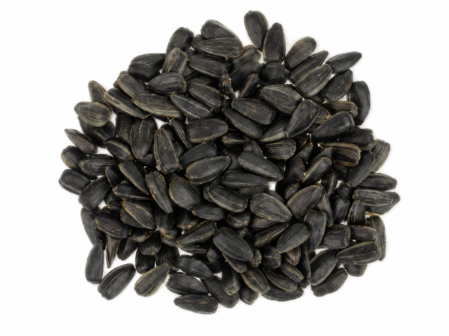 Girasol Negro